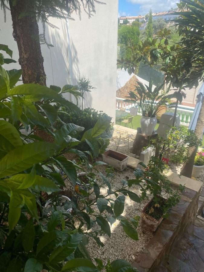 Casa Los Encinares コルドバ エクステリア 写真